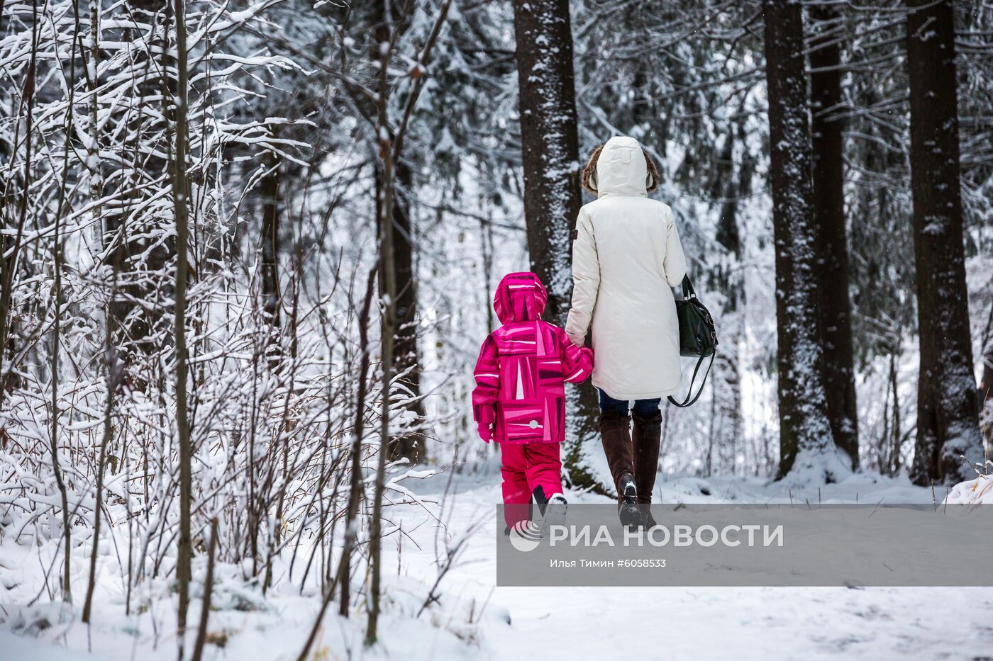 Снегопад в Петрозаводске