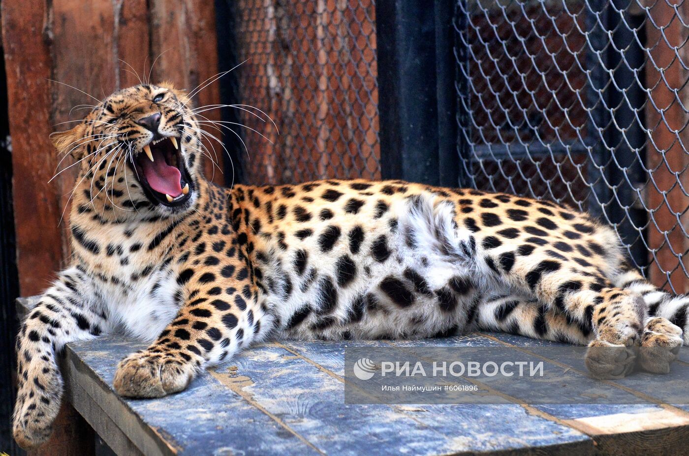 Парк флоры и фауны "Роев ручей" в Красноярске