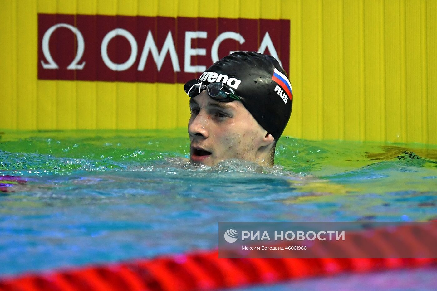 Плавание. VI этап Кубка мира