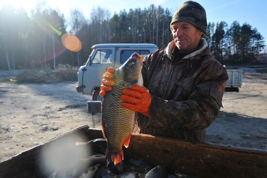 Рыбхоз в Тамбовской области