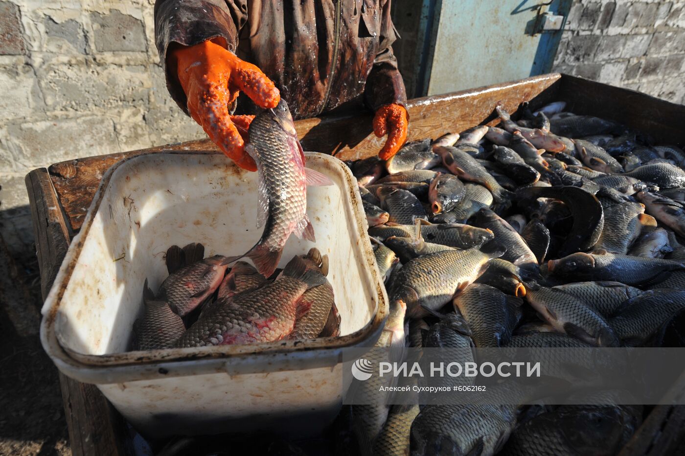 Рыбхоз в Тамбовской области