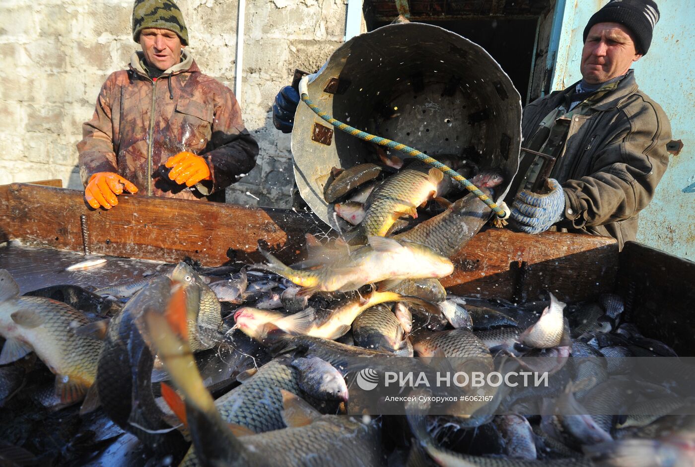Рыбхоз в Тамбовской области