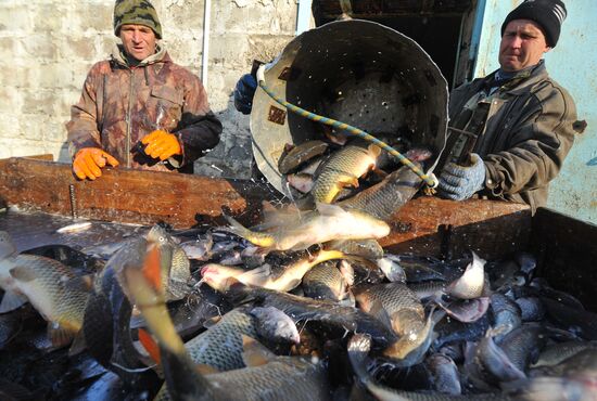 Рыбхоз в Тамбовской области