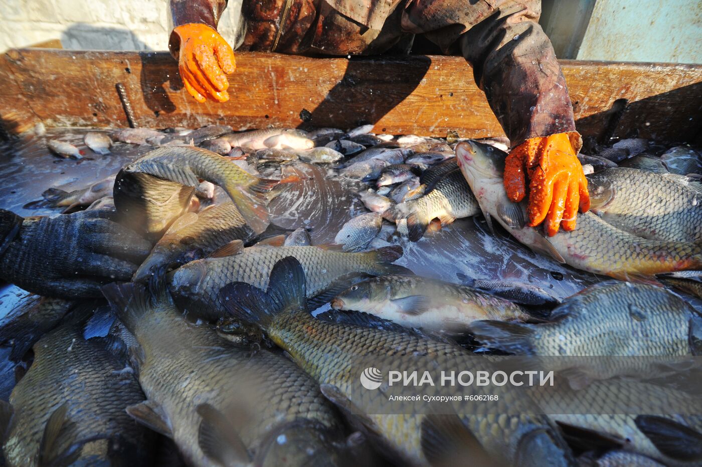 Рыбхоз в Тамбовской области