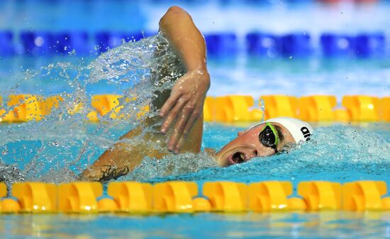 Плавание. VI этап Кубка мира