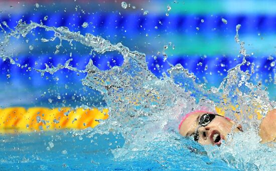 Плавание. VI этап Кубка мира