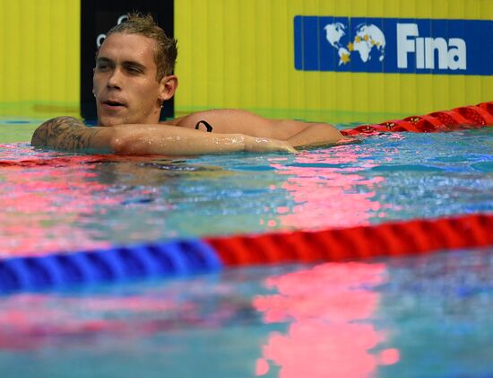 Плавание. VI этап Кубка мира