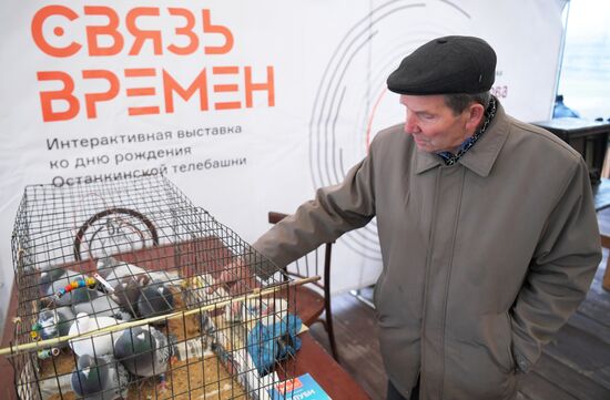 Останкинская телебашня 