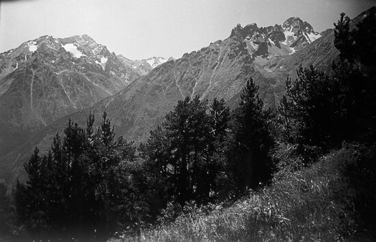 Северный Кавказ