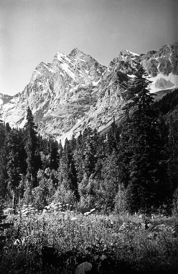 Северный Кавказ