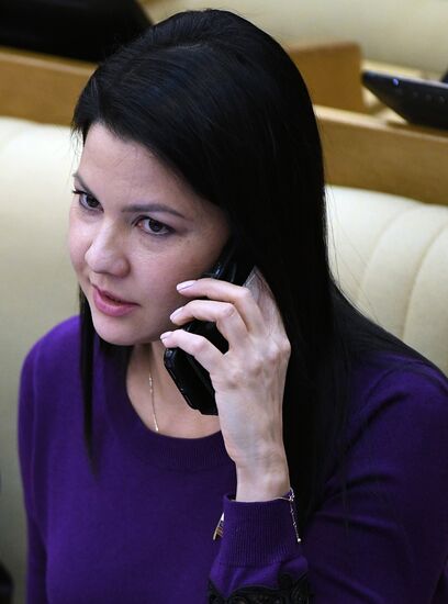 Пленарное заседание Государственной Думы РФ