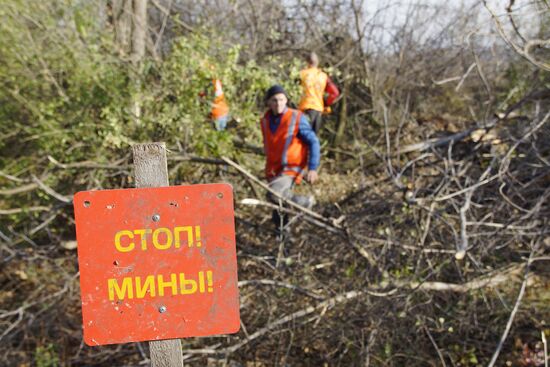 Разминирование местности у линии соприкосновения в Донбассе