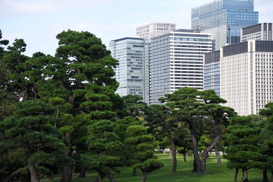 Города мира. Токио