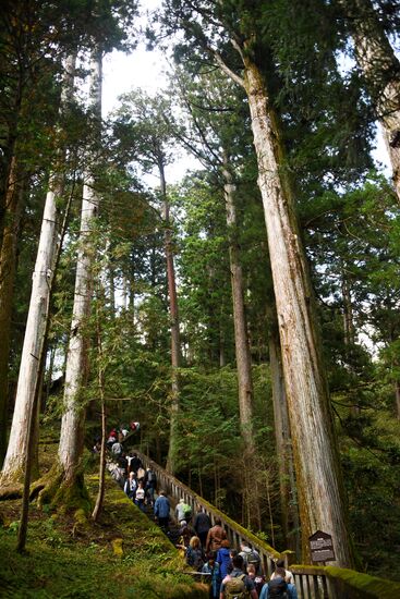 Города мира. Токио