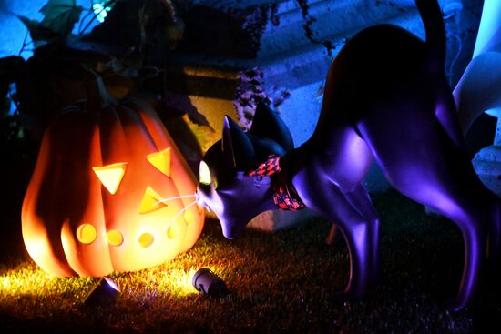 Города мира. Токио