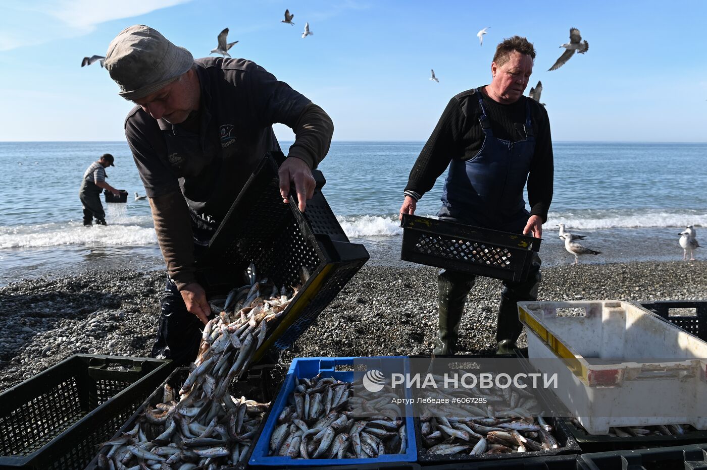 Ловля барабули в Сочи