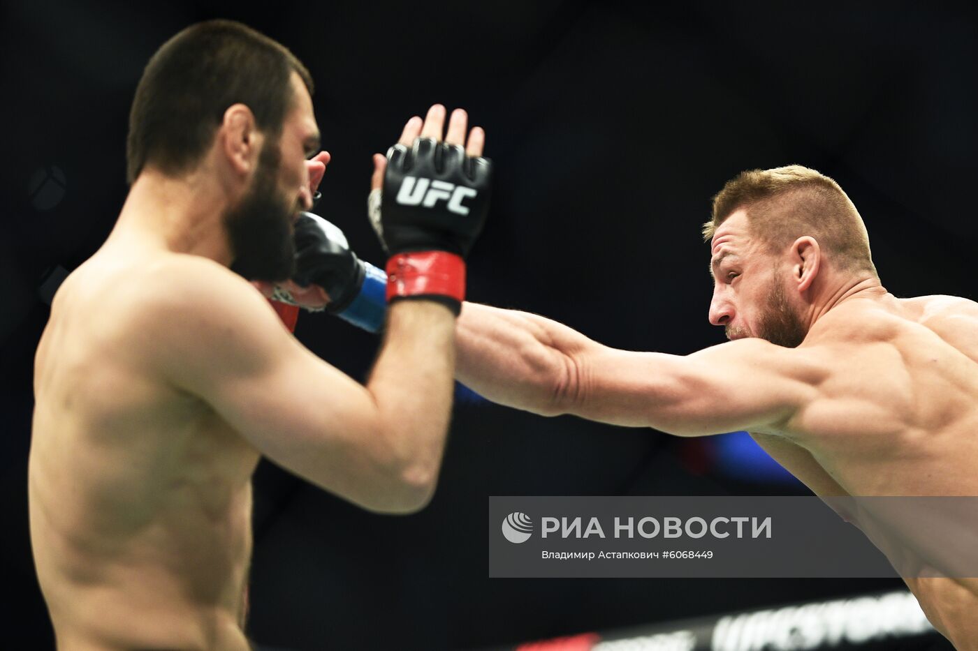 UFC Fight Night в Москве