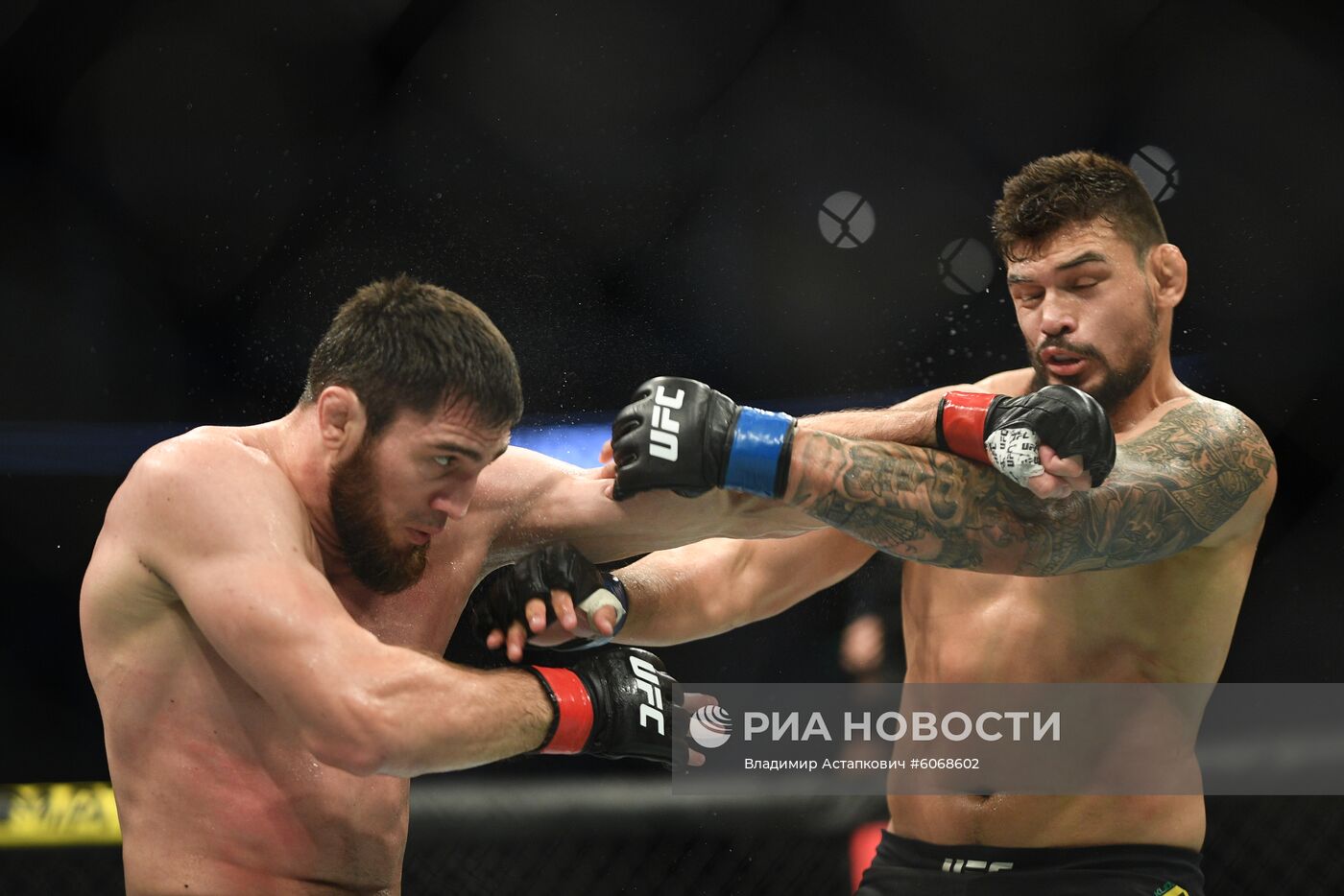 UFC Fight Night в Москве