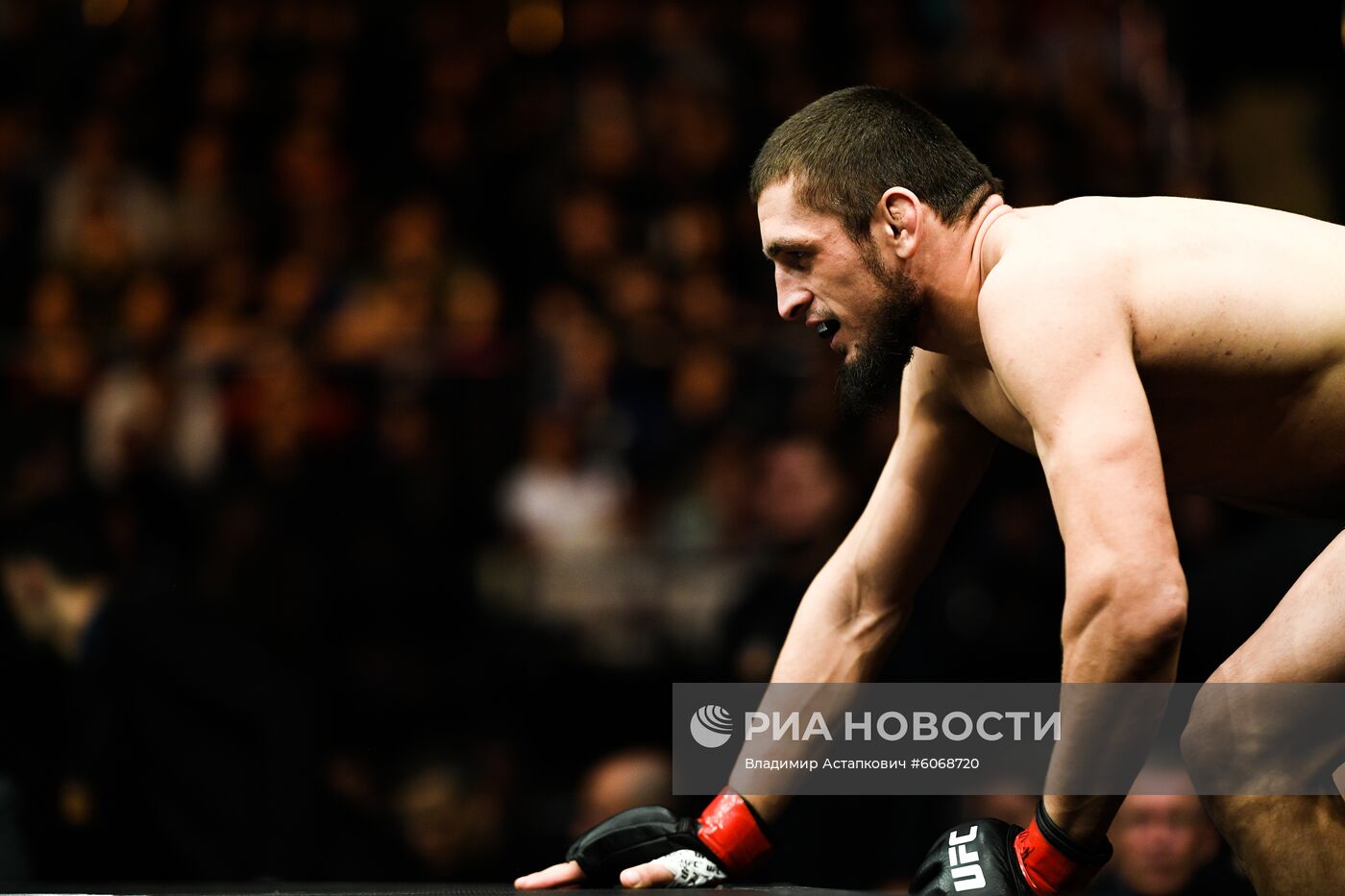 UFC Fight Night в Москве