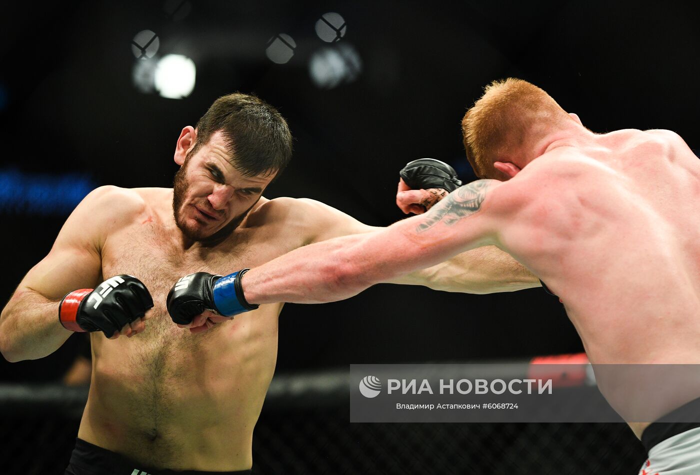 UFC Fight Night в Москве