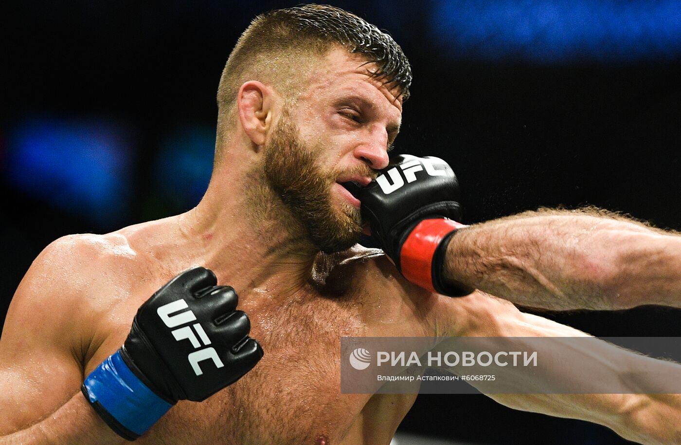 UFC Fight Night в Москве