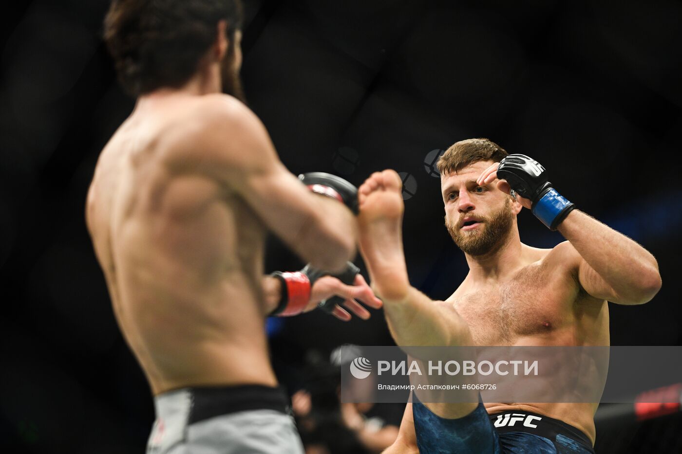 UFC Fight Night в Москве