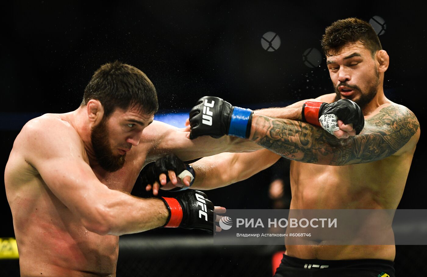 UFC Fight Night в Москве