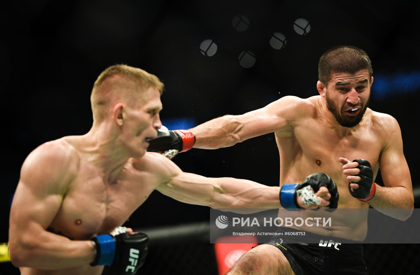 UFC Fight Night в Москве