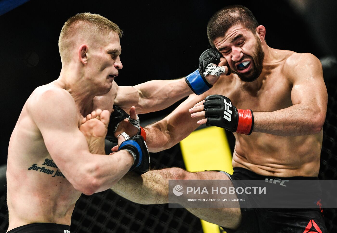 UFC Fight Night в Москве