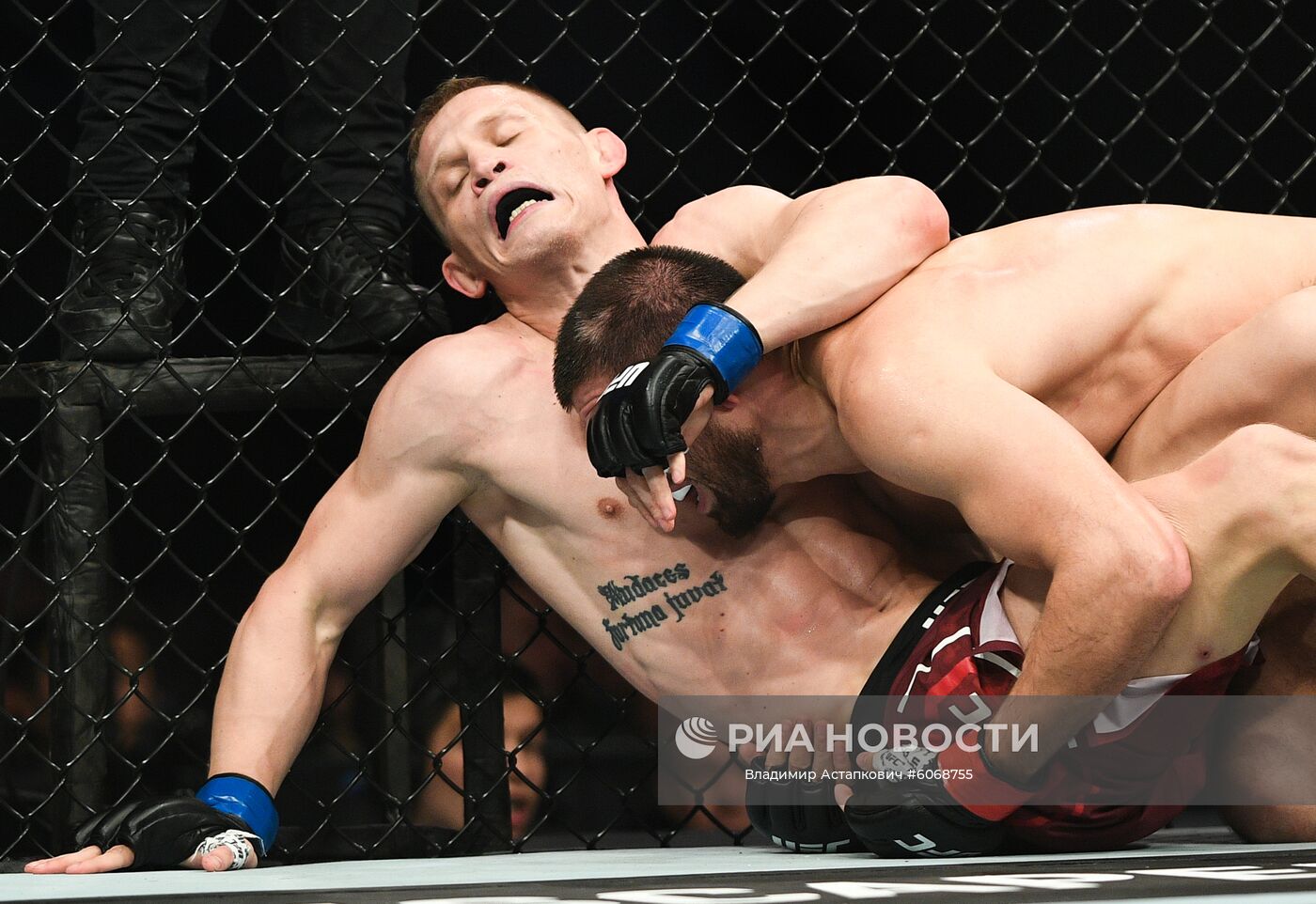 UFC Fight Night в Москве
