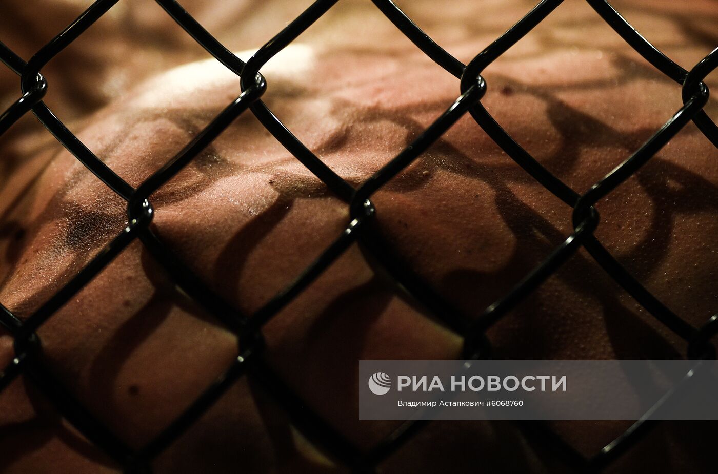 UFC Fight Night в Москве