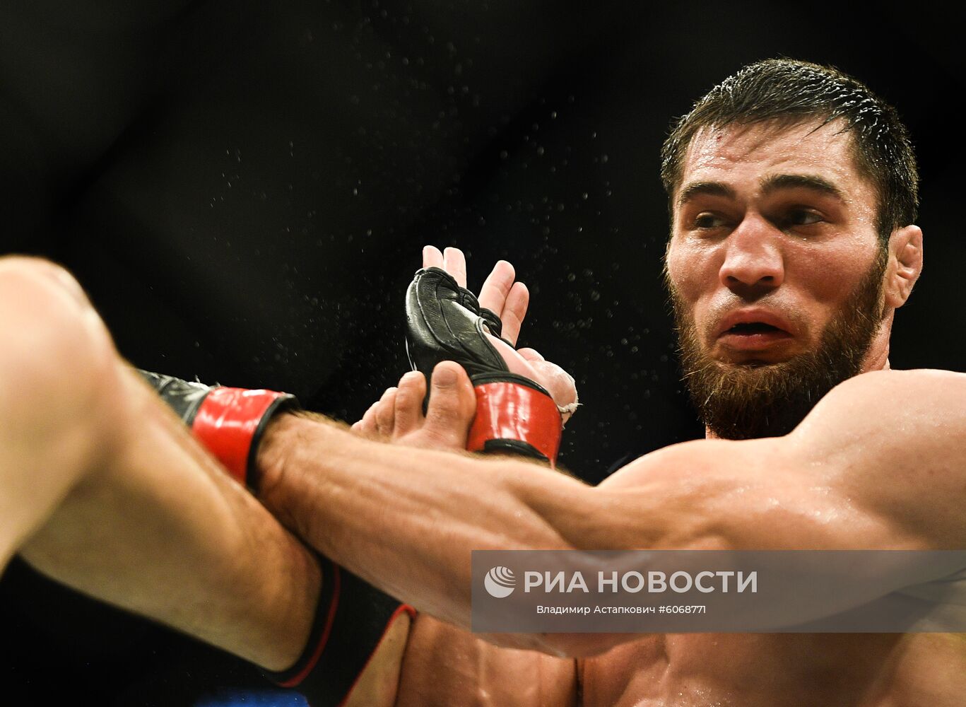 UFC Fight Night в Москве