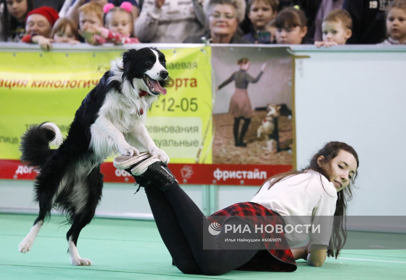 Выставка "Зоомир. Домашние животные" в Красноярске