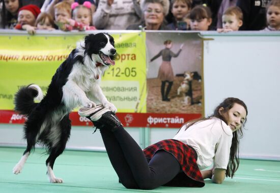 Выставка "Зоомир. Домашние животные" в Красноярске