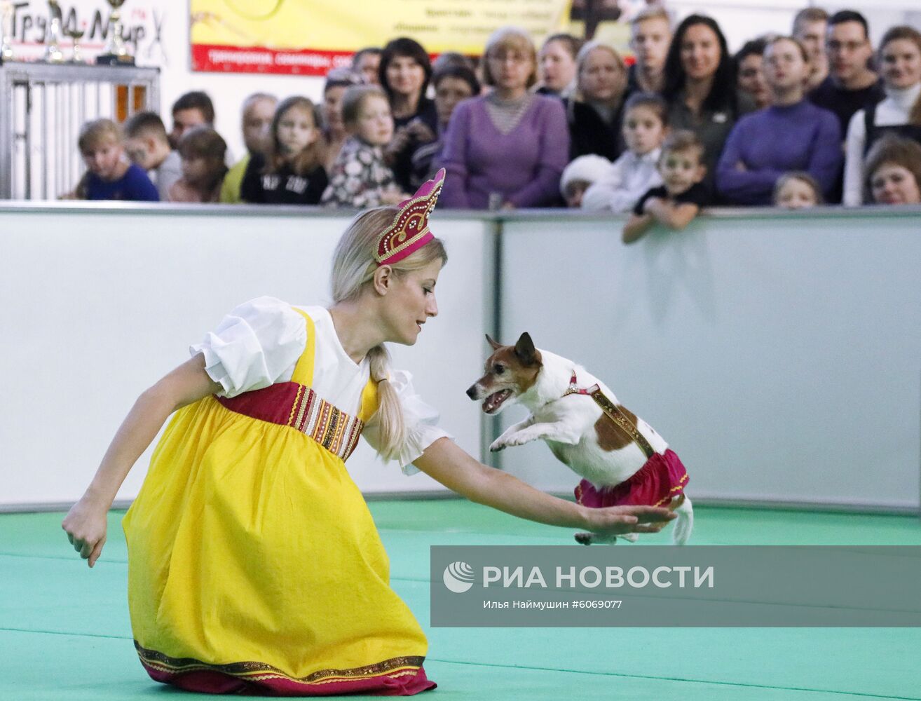 Выставка "Зоомир. Домашние животные" в Красноярске