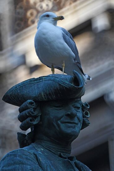 Города мира. Венеция