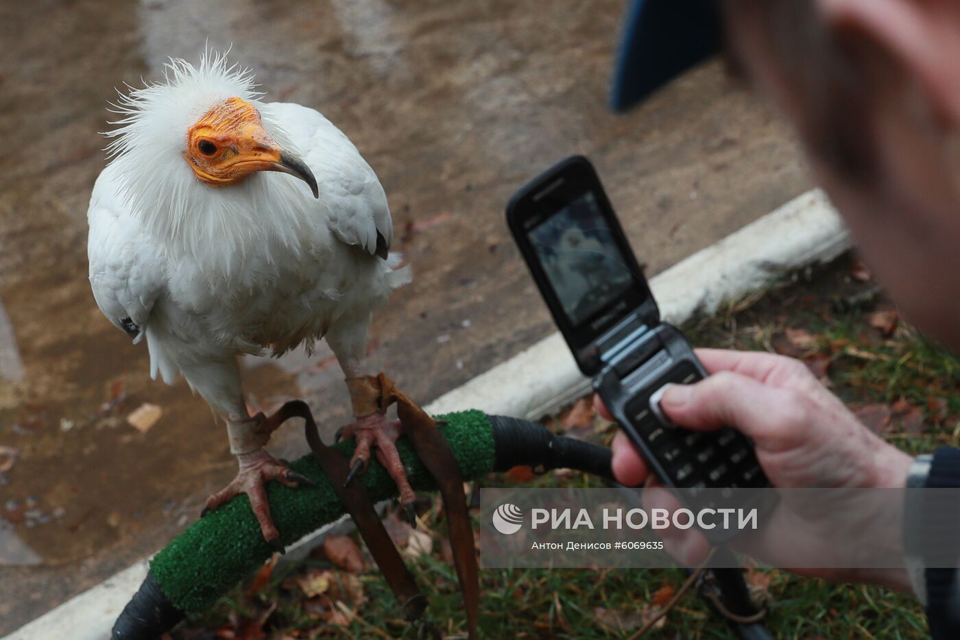 Празднование Дня победного окончания Великого стояния на реке Угре 1480 года