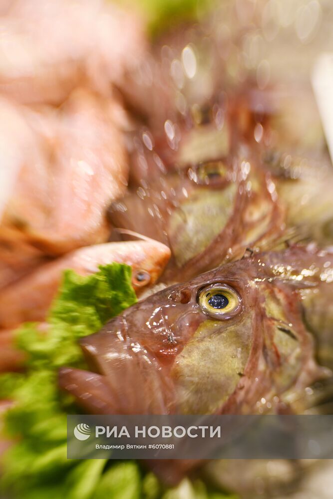 Города мира. Венеция