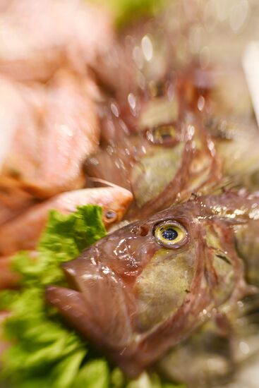 Города мира. Венеция