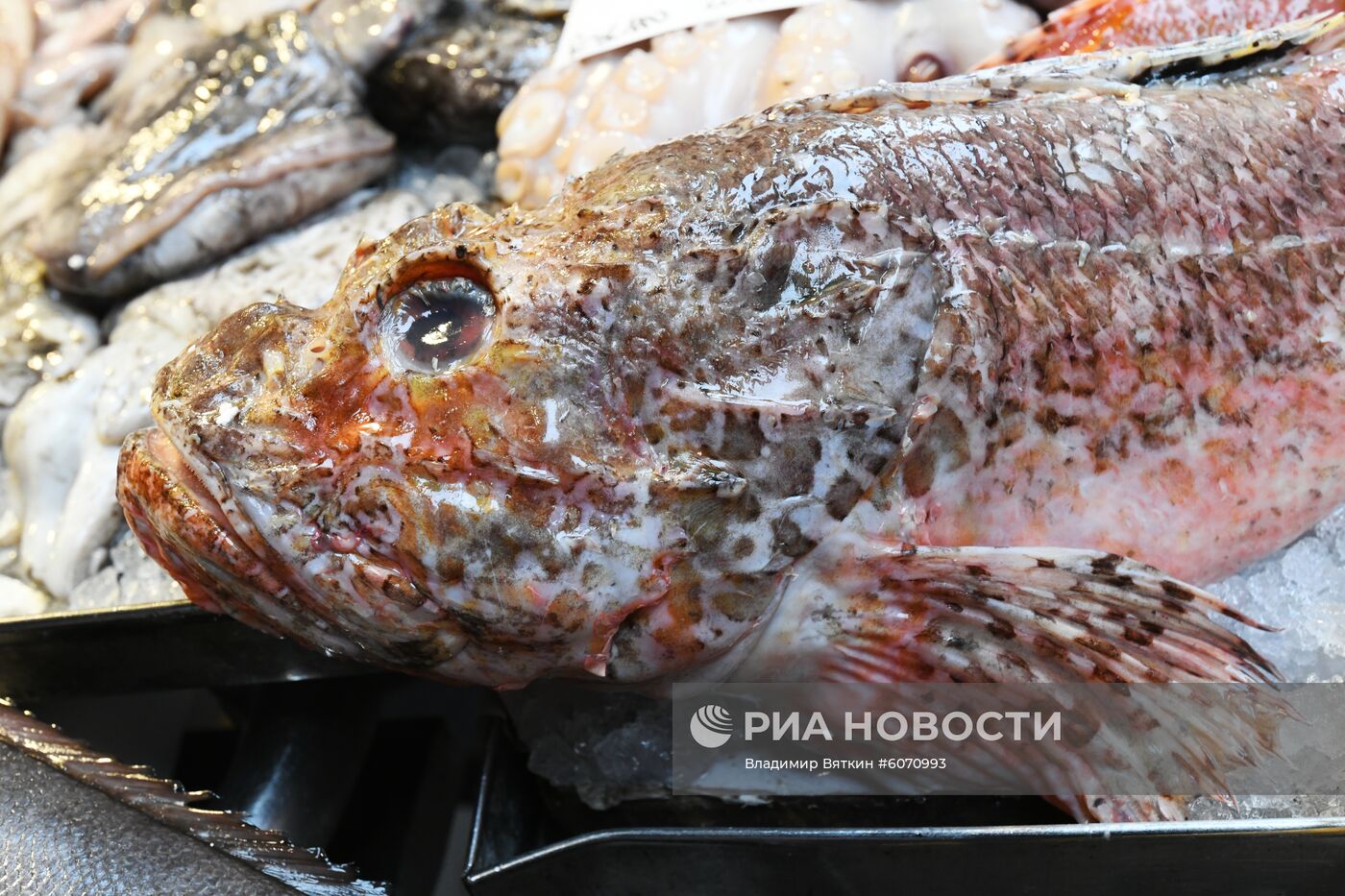 Города мира. Венеция