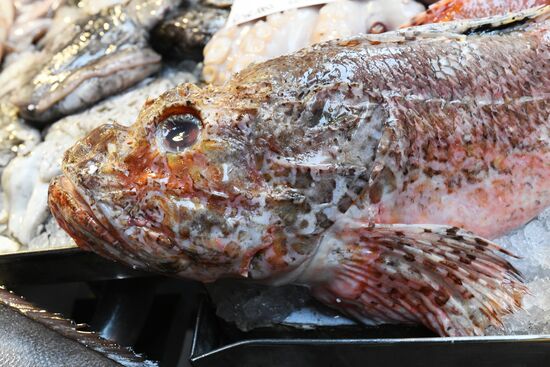 Города мира. Венеция