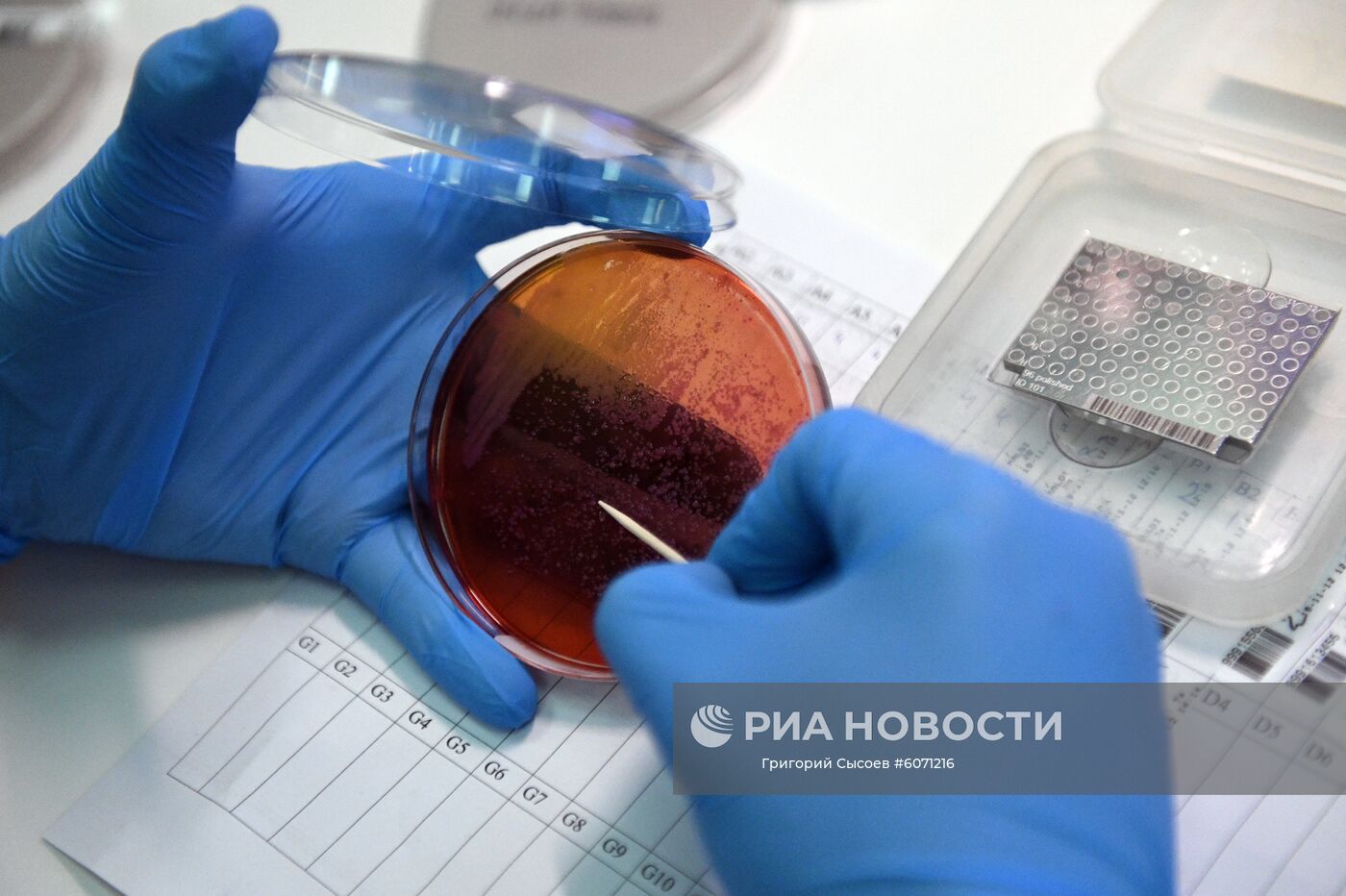 Сотрудник больницы № 67 имени Л.А. Ворохобова в Москве работает с биоматериалом в новом травматологическом корпусе. Место: Россия, Москва. Автор: Григорий Сысоев/РИА Новости. Открытие нового травматологического корпуса ГКБ № 67 в Москве