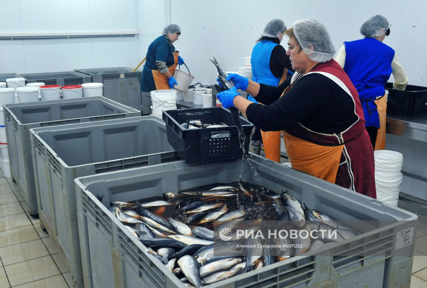 Производство рыбной продукции в Тамбовской области