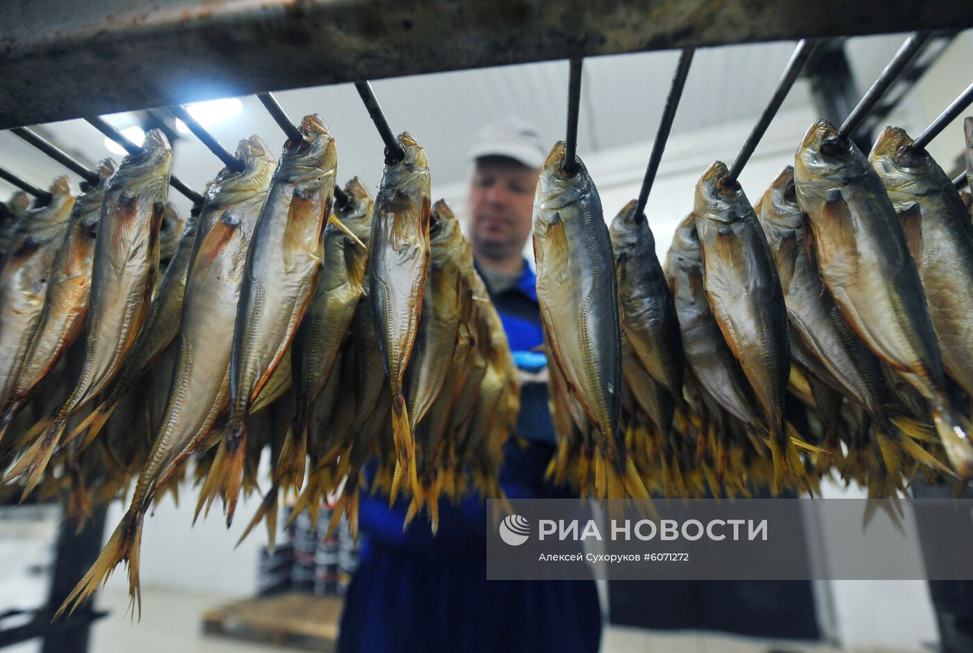 Производство рыбной продукции в Тамбовской области