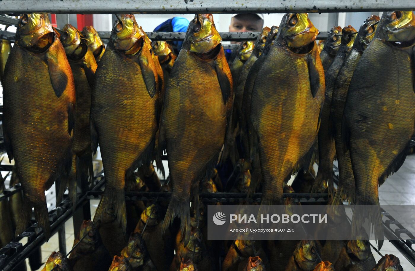 Производство рыбной продукции в Тамбовской области