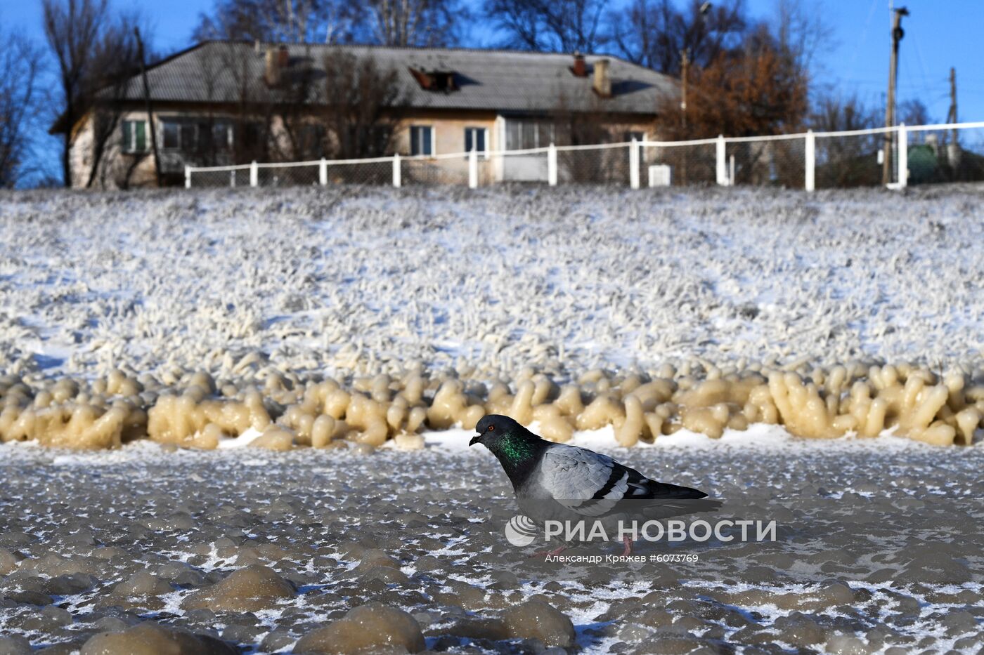 Морозы в Новосибирской области