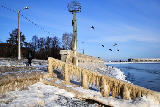 Морозы в Новосибирской области