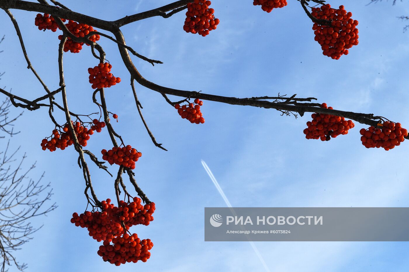Морозы в Новосибирской области