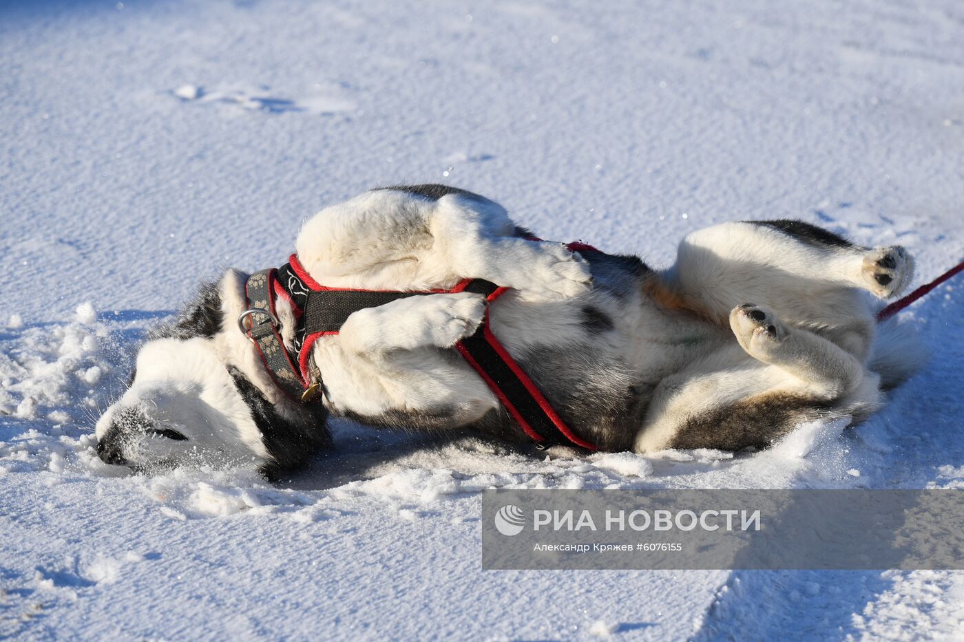 Зима в Новосибирске