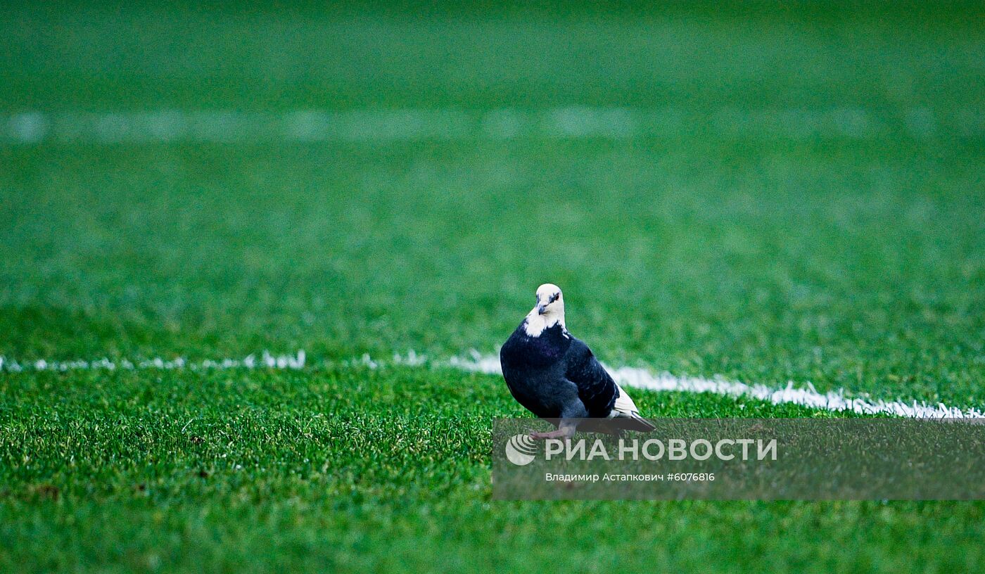 Футбол. Отборочный матч ЧЕ-2020. Россия - Бельгия